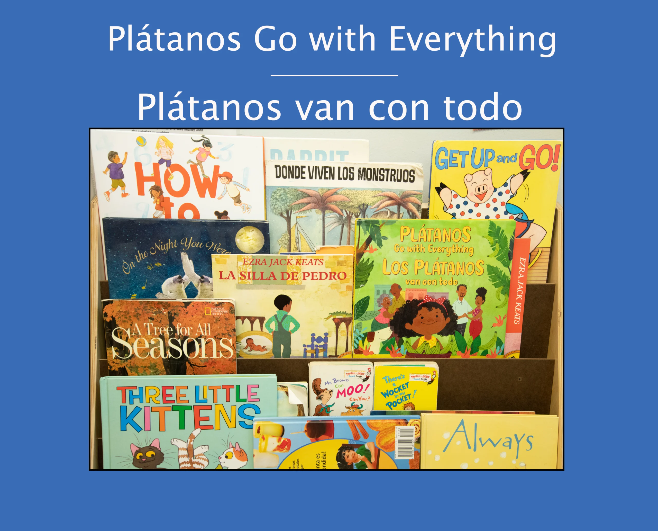 Plátanos Go with Everything Plátanos van con todo Bloomingdale